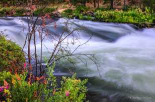 Deschutes River-1368